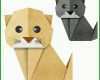 Erschwinglich Papercraft Vorlagen Kostenlos Katze 800x800