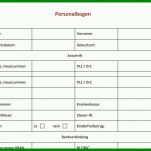 Allerbeste Personalfragebogen Vorlage Excel 718x555