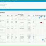 Modisch Projektmanagement Excel Vorlage Gantt 1990x1294