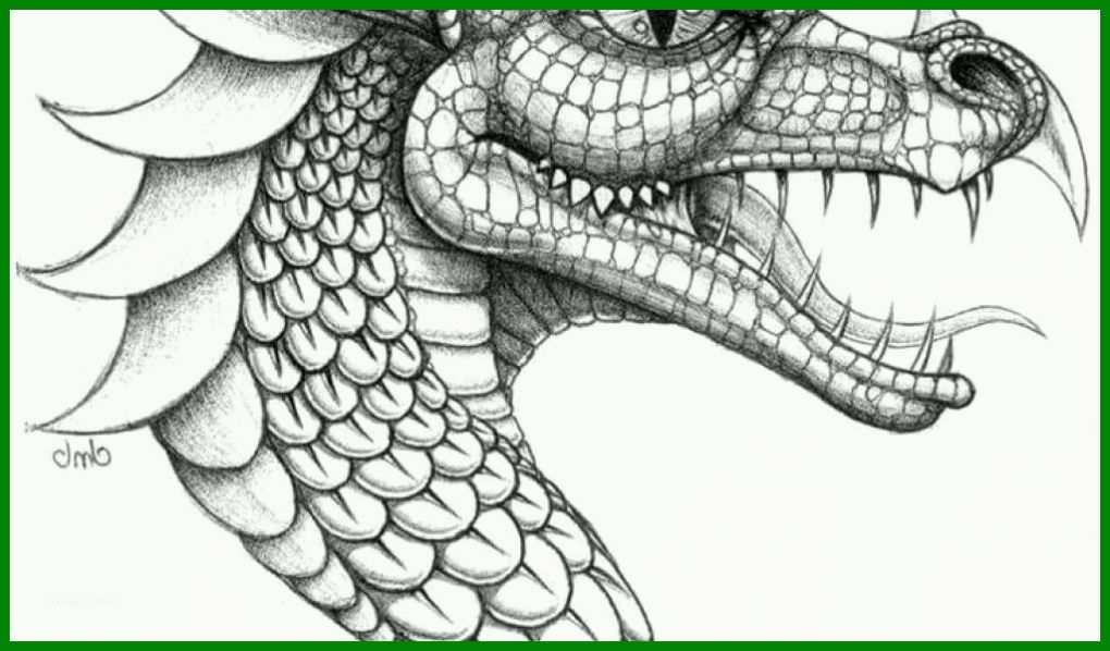 Erschwinglich Drachen Vorlage 1024x600