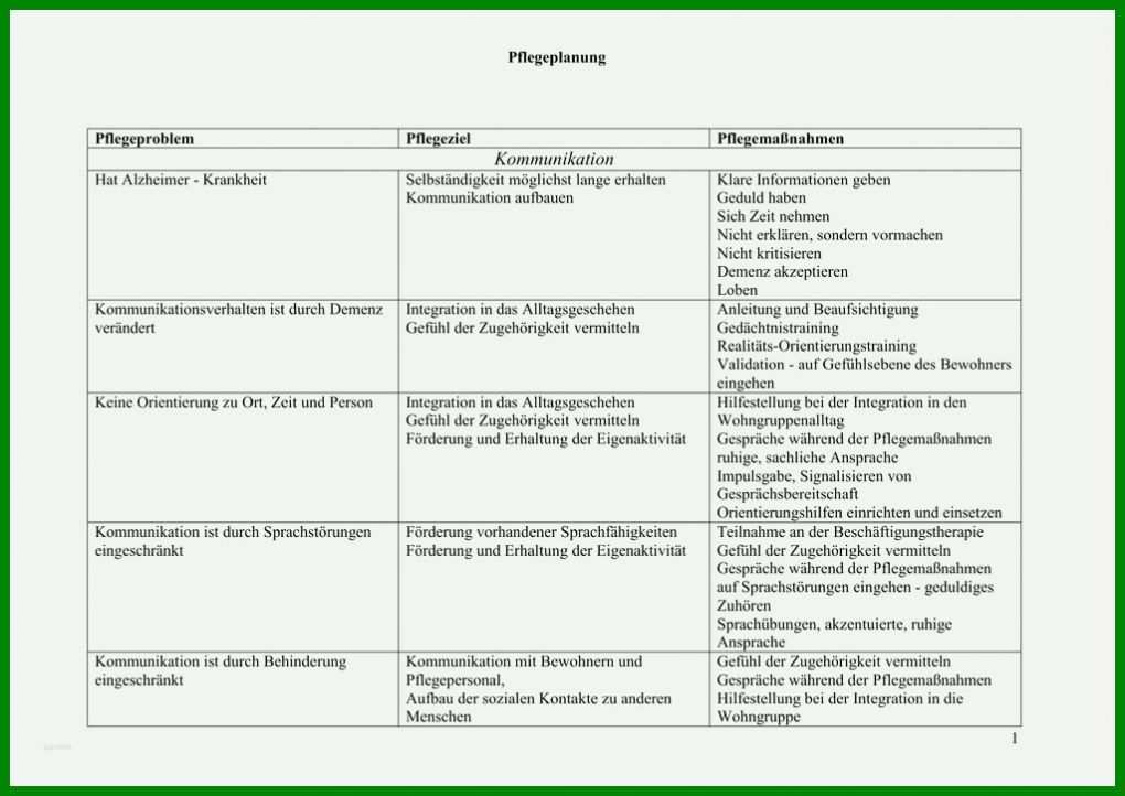 Überraschend Pflegeplanung Leere Vorlage 1024x725