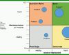 Selten Produktlebenszyklus Excel Vorlage 852x559