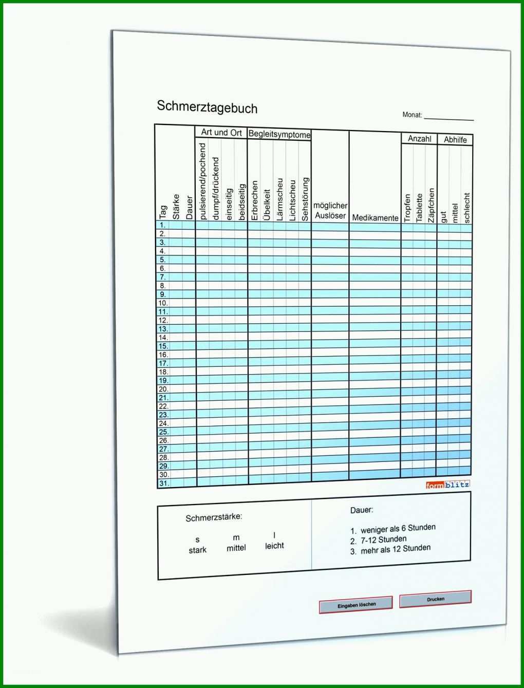 Einzahl Schmerztagebuch Rheuma Vorlage 1456x1911