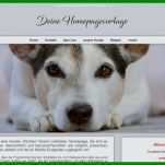 Faszinieren Hunde Homepage Vorlagen 800x495