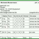 Phänomenal Medikationsplan Vorlage 1600x680