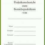 Original Praktikumsbericht Vorlage Pdf 988x1766