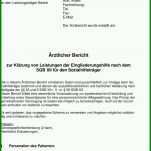 Schockierend Schweigepflichtsentbindung Arzt Vorlage 960x1469