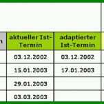 Exklusiv Projektphasenplan Vorlage 1000x239