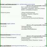 Schockierend Prüfprotokoll Vde 0113 Vorlage 960x1431