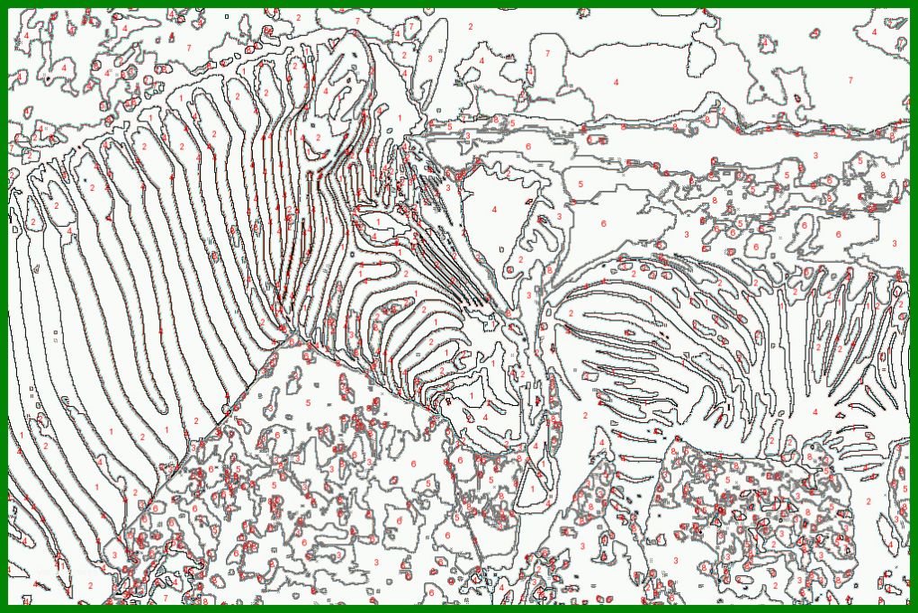 Größte Malen Nach Zahlen Für Erwachsene Vorlagen 1024x684