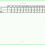 Großartig Personalfragebogen Vorlage Excel 1754x1240