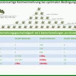 Beeindruckend Hygieneschulung Vorlage 1280x720