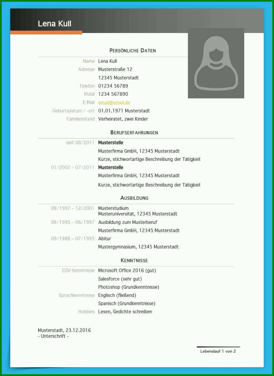 Singular Kostenlose Lebenslauf Muster Und Vorlagen Zum Download 383359