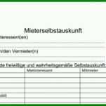 Bemerkenswert Selbstauskunft Mieter Vorlage 1024x512