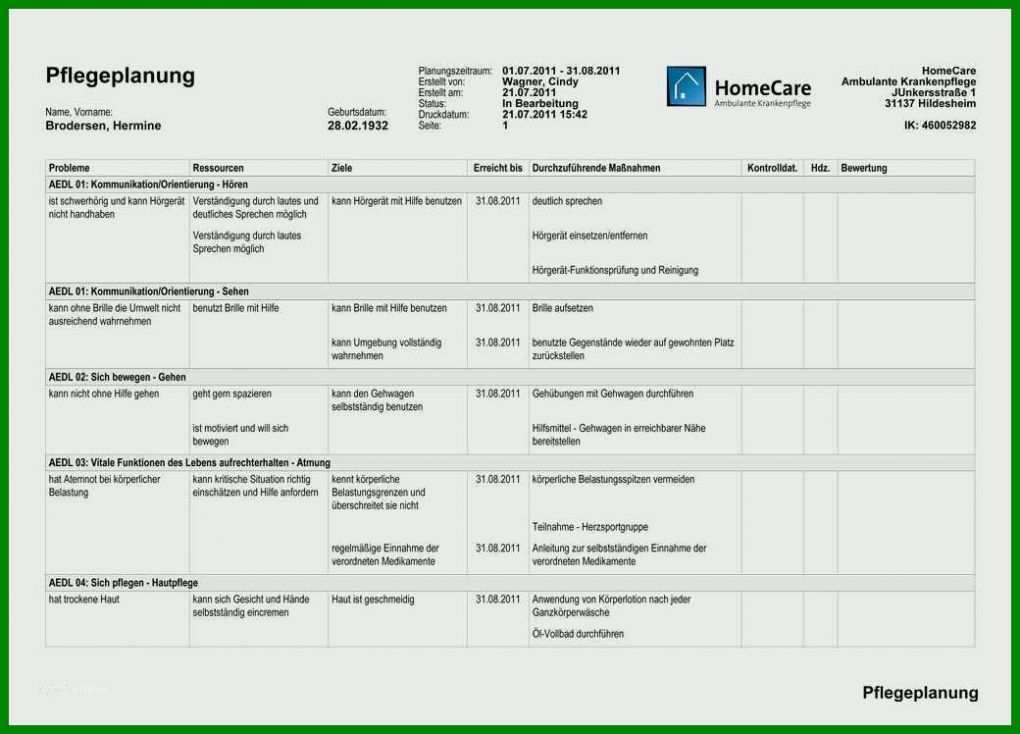 Empfohlen Pflegeplanung Leere Vorlage 1040x748