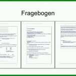 Wunderbar Vorlage Fragebogen Word 728x546