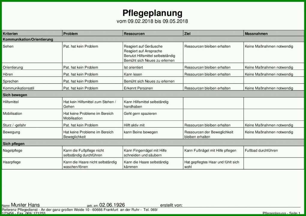 Auffällig Vorlage Pflegeplanung 1497x1058