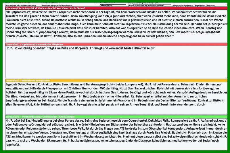 Atemberaubend Sis Pflegedokumentation Vorlagen Sie Jetzt ...