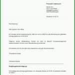 Atemberaubend Berliner Testament Vorlage Kostenlos Pdf 1240x1753