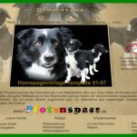 Phänomenal Hunde Homepage Vorlagen 1400x400