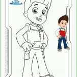 Spezialisiert Paw Patrol Vorlage 2977x4176