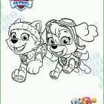 Moderne Paw Patrol Vorlage 2506x3532