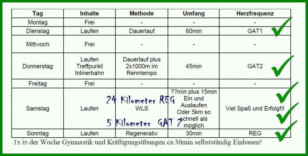 Ideal Trainingsplan Pferd Vorlage 1139x576