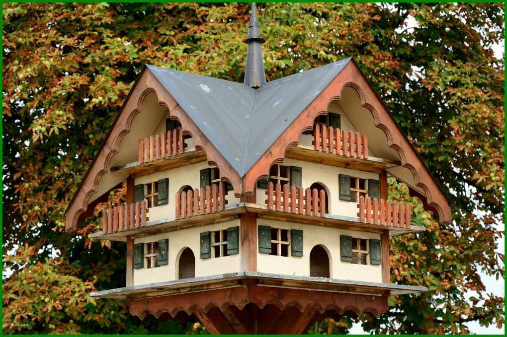 Selten Vogelhaus Basteln Vorlagen 1920x1279