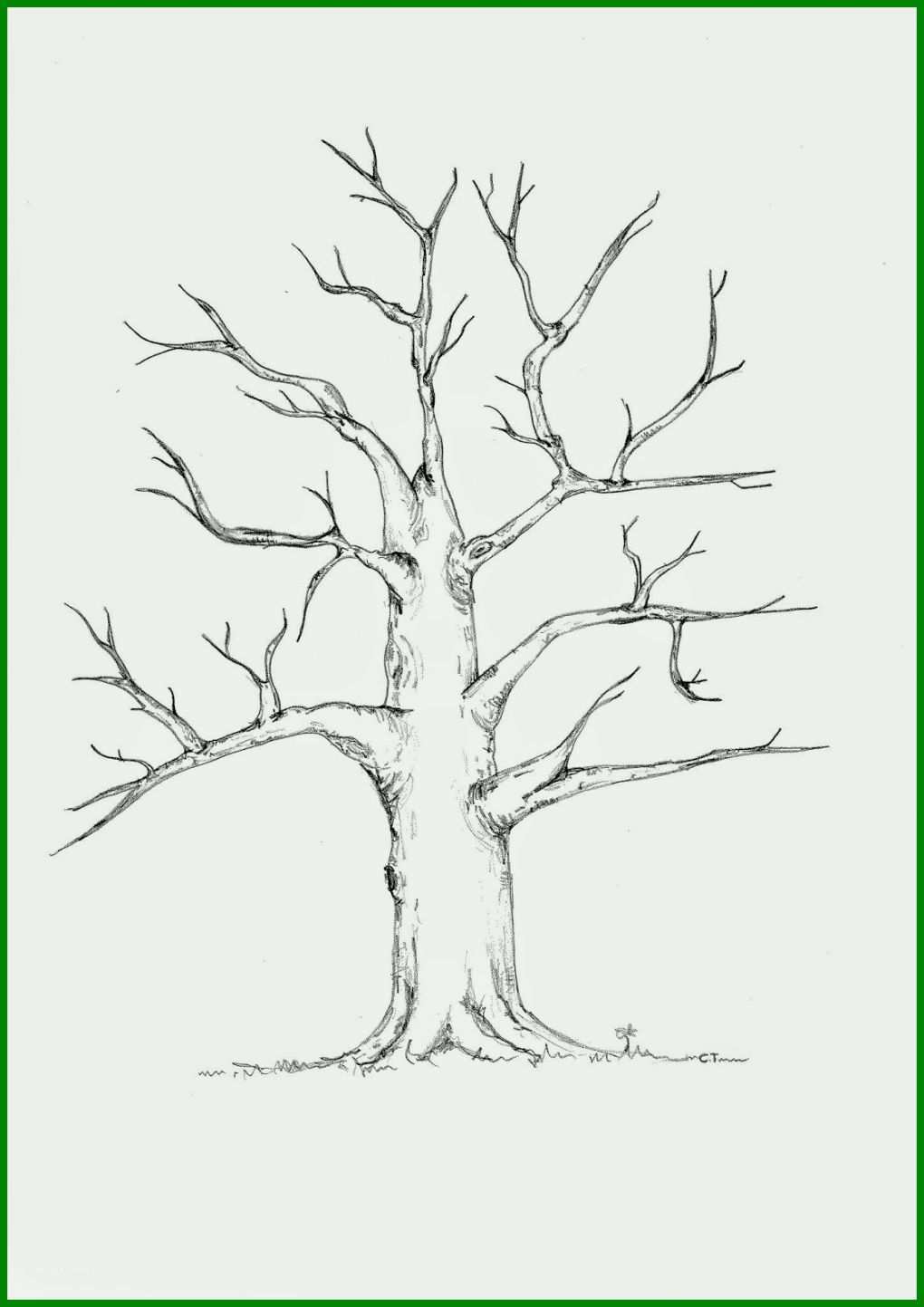 Faszinierend Wedding Tree Vorlage 1131x1600