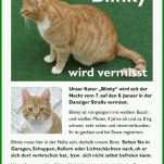 Erstaunlich Katze Vermisst Vorlage 875x1190