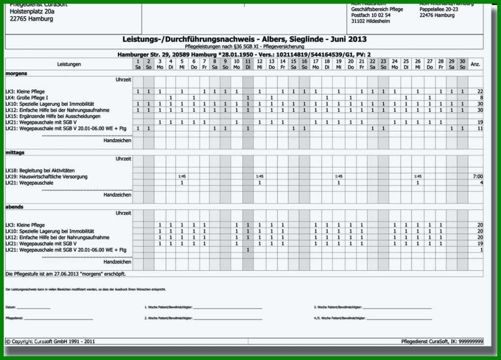 Rühren Pflegedokumentation Vorlage 1199x863