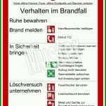 Phänomenal Brandschutzordnung Vorlage Word 826x1169