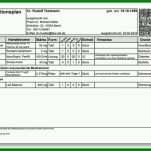 Neue Version Medikamentenplan Vorlage 716x515