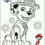 Erschwinglich Paw Patrol Vorlage 2489x3532