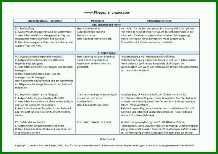 Faszinieren Vorlage Pflegeplanung 1000x708