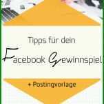 Beste Facebook Gewinnspiel Vorlage 735x1102