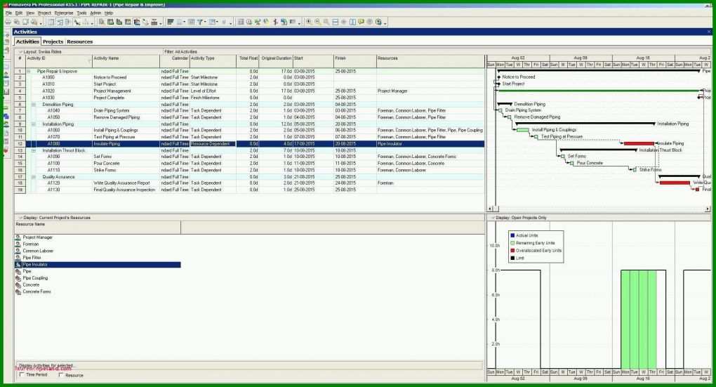 Am Beliebtesten Swimlane Diagramm Excel Vorlage 1901x1026