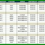 Einzigartig Aktionsplan Projektmanagement Vorlage 919x384