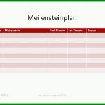 Toll Meilensteinplan Vorlage 799x568