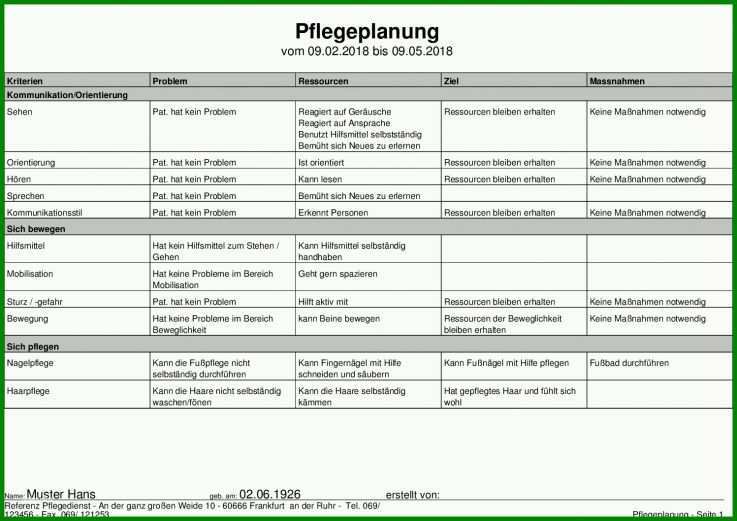 Großartig Pflegeplanung Vorlage 1497x1058