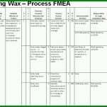 Spezialisiert Prozess Fmea Vorlage 1014x689