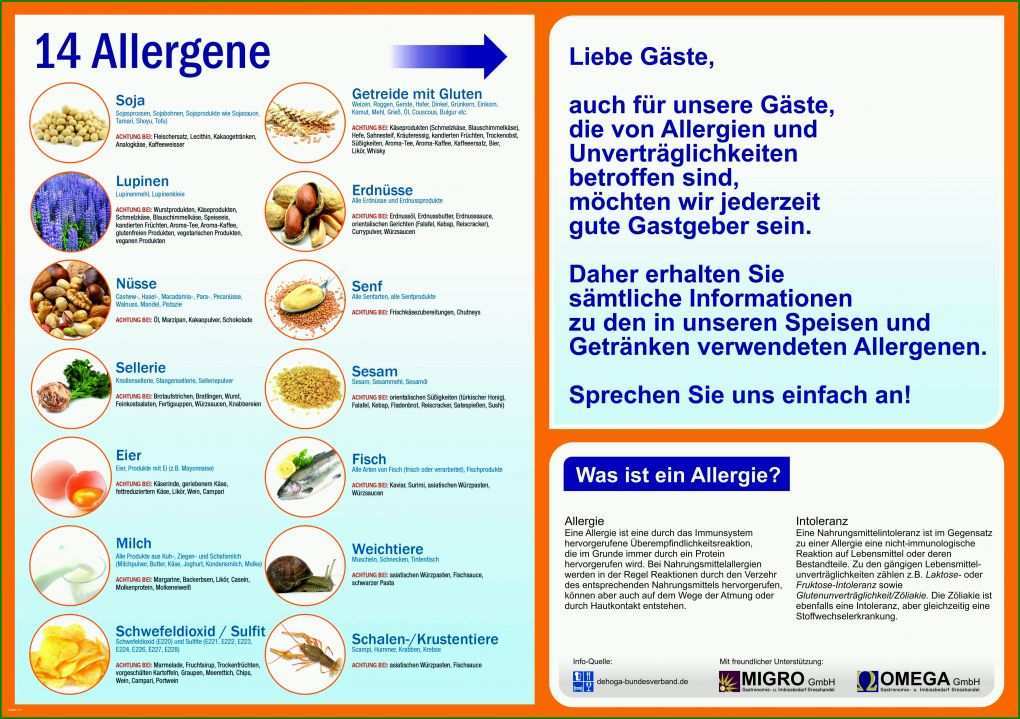 Fantastisch Allergenkennzeichnung Vorlage Download 5012x3534