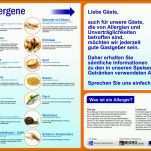 Fantastisch Allergenkennzeichnung Vorlage Download 5012x3534