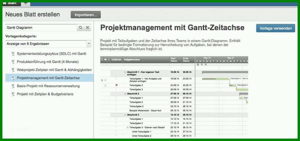 Singular Kostenplan Projektmanagement Vorlage 1116x524