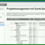 Singular Kostenplan Projektmanagement Vorlage 1116x524