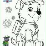 Singular Paw Patrol Vorlage 2489x3532