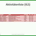 Schockierend Aktivitätenliste Projektmanagement Vorlage 800x600