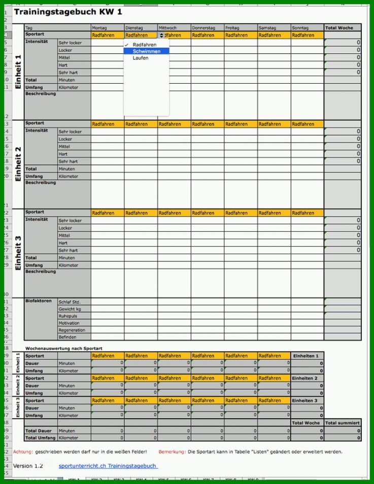 Atemberaubend Trainingstagebuch Vorlage 800x1036