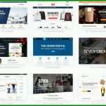 Beste Wordpress Webseiten Vorlagen 1139x881