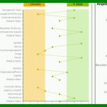 Faszinieren Konkurrenzanalyse Vorlage 873x334